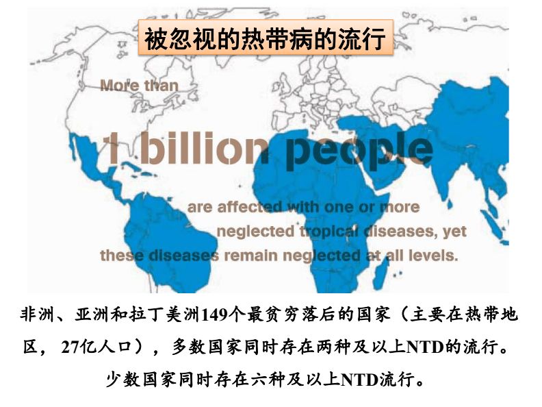 被忽視的熱帶病